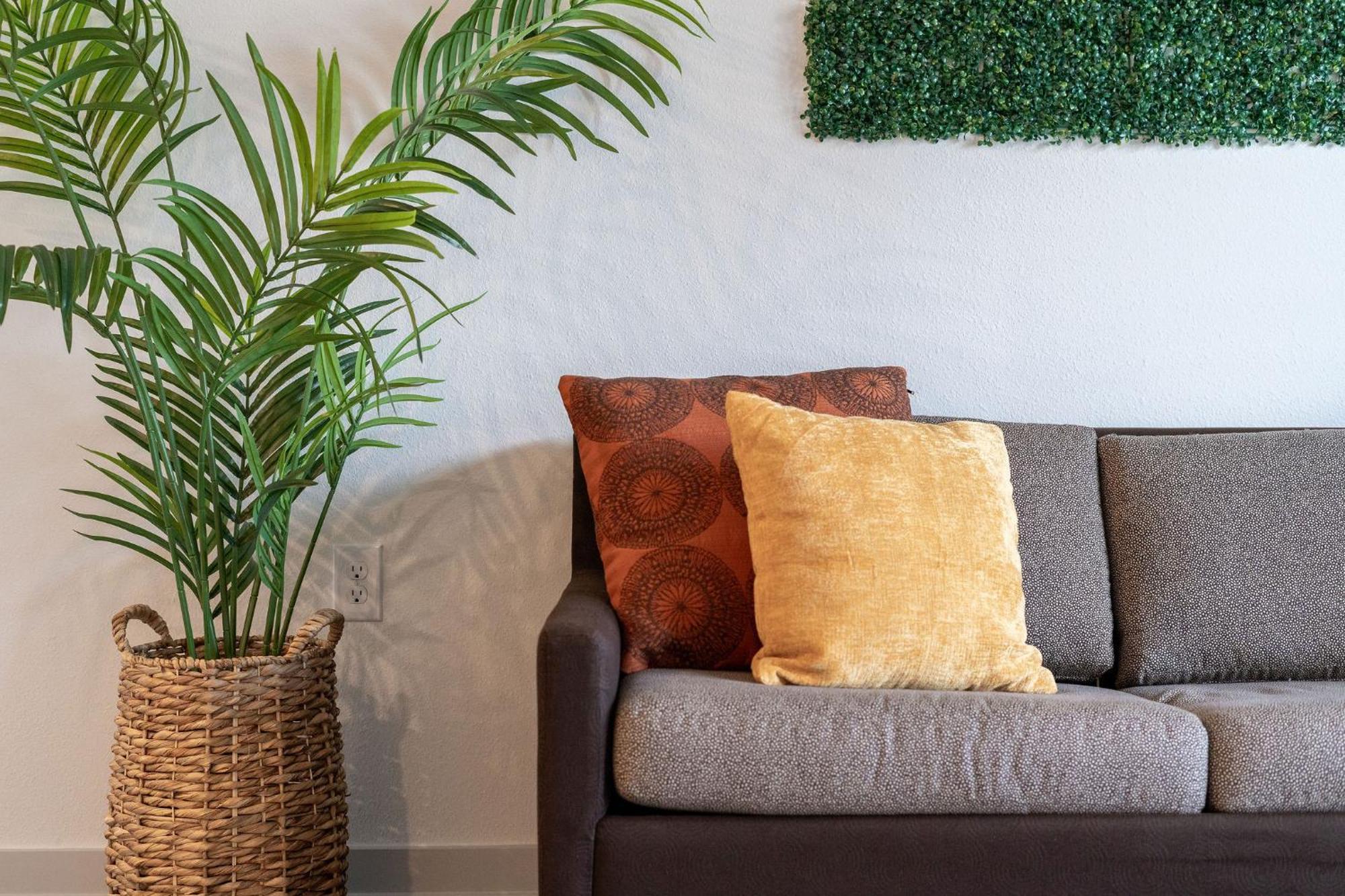 Complete Lush Green Apartment 10 Min To Parks Pets Allowed, Resort-Style Amenities Orlando Exteriör bild